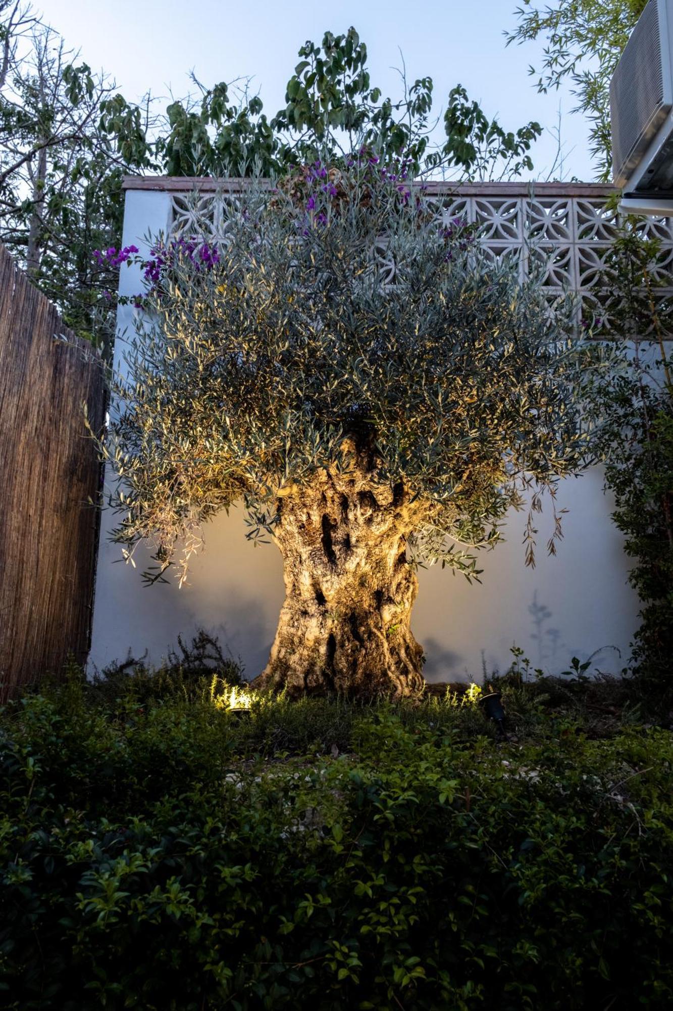 Casa Bodhi Boutique Hotel & Spa Marbella Exteriör bild
